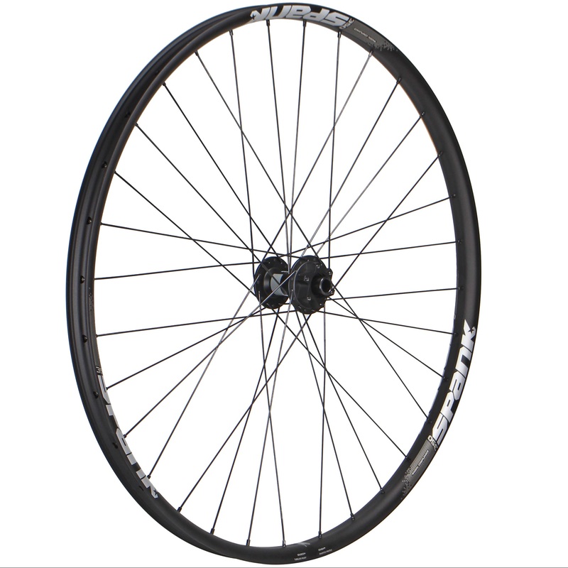 Wheel Factory Spank 350 29" DT 370 15x100 IS