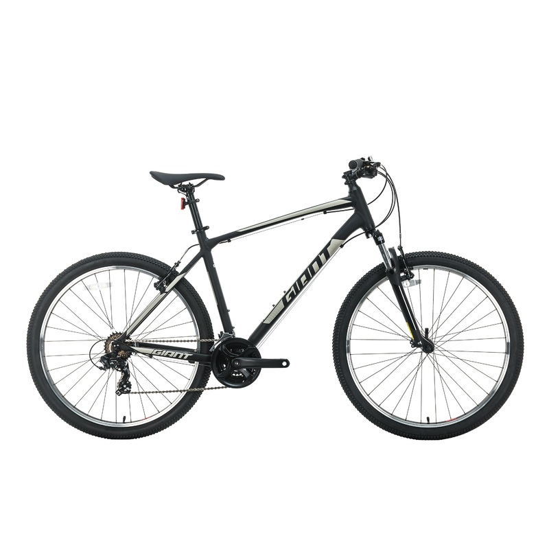 Giant ATX Mountain Bike - 2021, Large