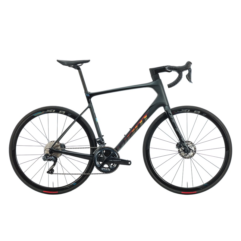 Giant Defy Advanced Pro 0 Road Bike - 2019, Large