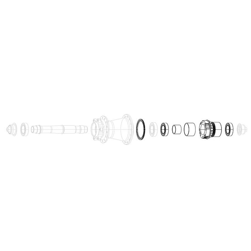 XD Freehub Body Bearings - 11/12 Speed X0 Hubs Rise 60 B1 Roam 30 Roam 40 Rail 40 Rise XX Roam 50 B1 Roam 60 B1
