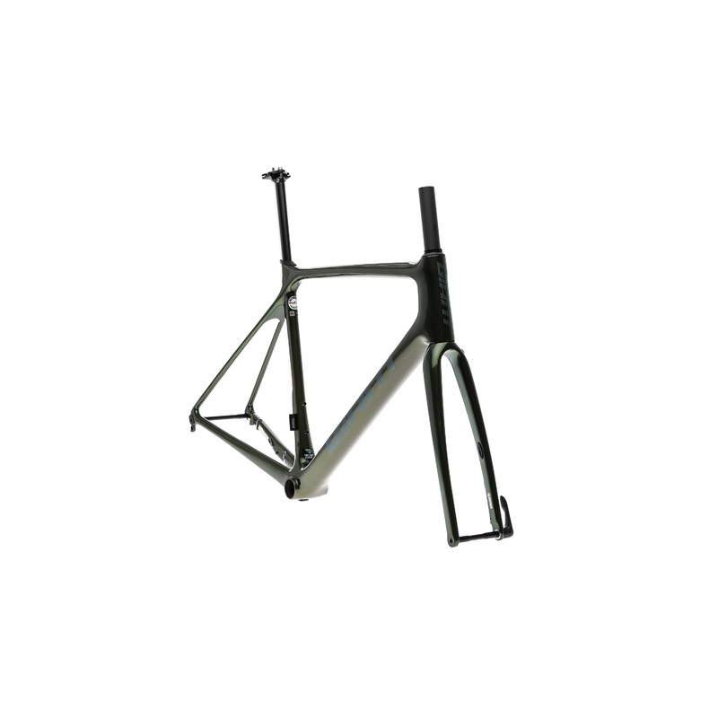 Giant TCR Advanced Pro Disc Med/Large Frameset - 2022