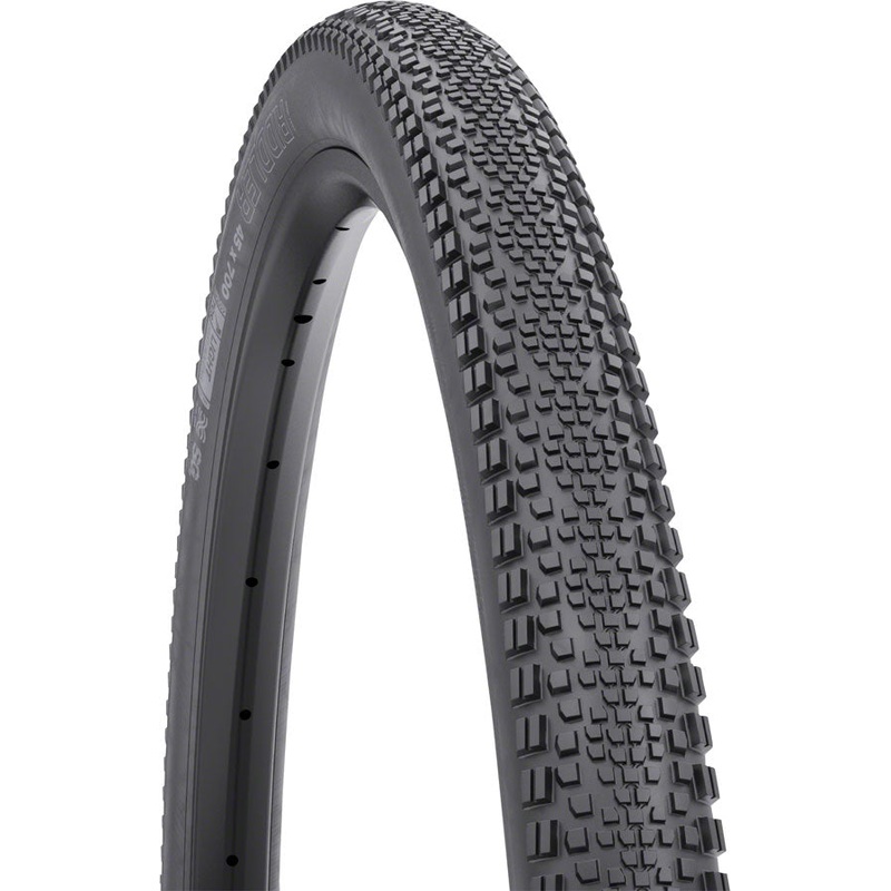 WTB Riddler Tire - 700 x 45 TCS Tubeless Folding BLK Light Fast Rolling SG2