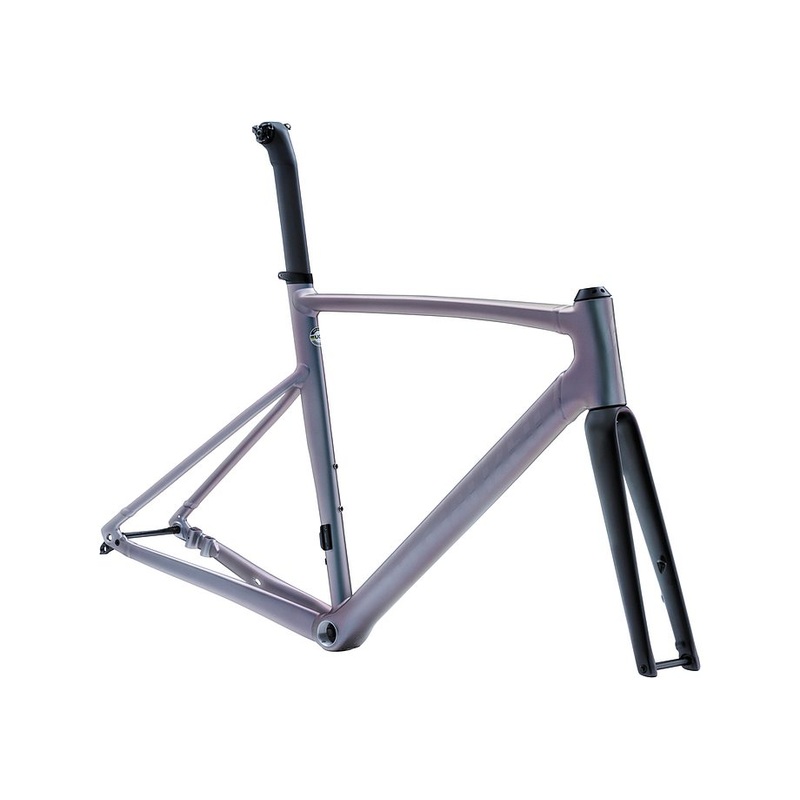 Specialized allez sprint frmset aluminum/color run/satin logos 61