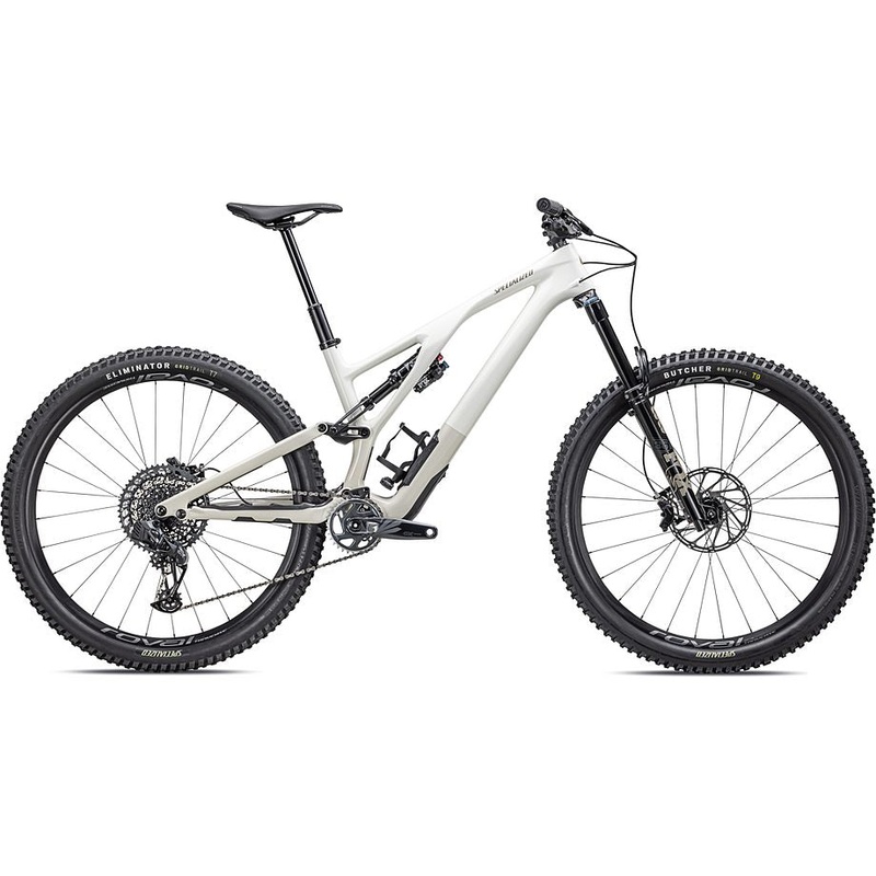 2023 Specialized Stumpjumper evo expert bike gloss birch / taupe s6