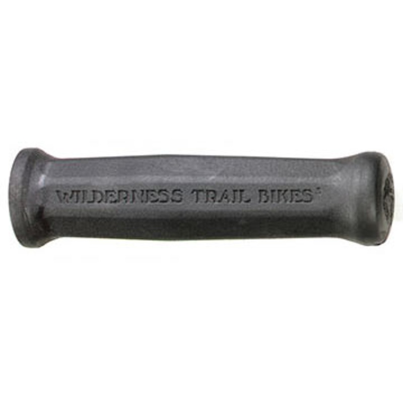 WTB Original Trail