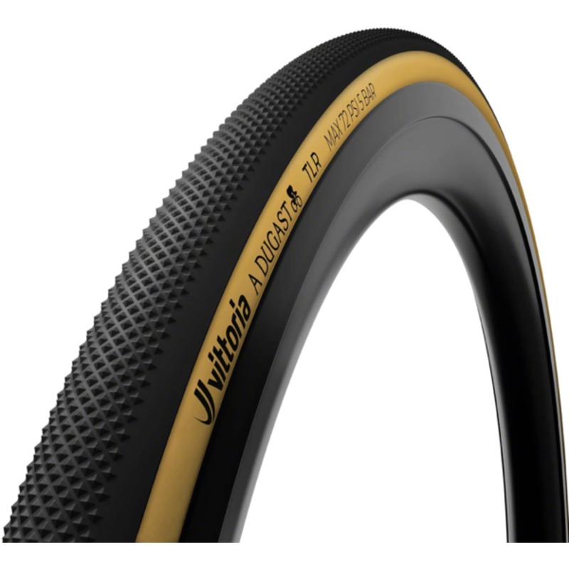 Vittoria A Dugast Pipistrello